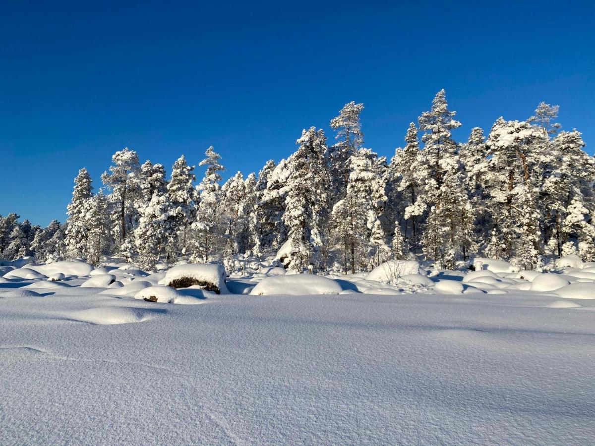 Norlight Cottages Ivalo - Tuli Eksteriør bilde