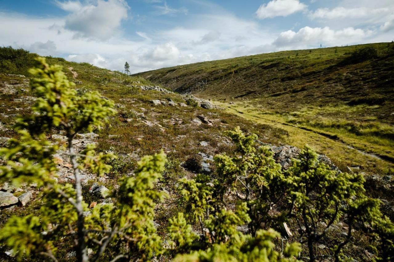 Norlight Cottages Ivalo - Tuli Eksteriør bilde